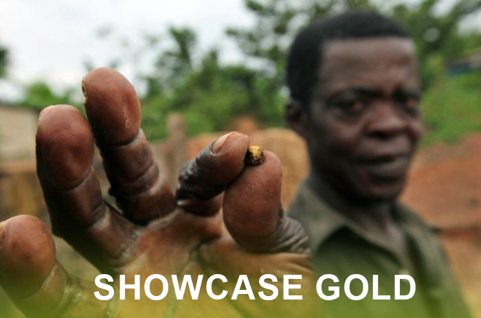 showcase gold